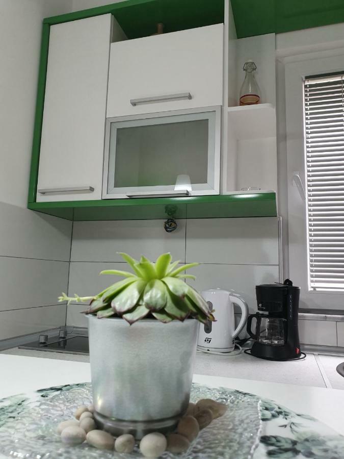 Apartments Nela Ohri Dış mekan fotoğraf